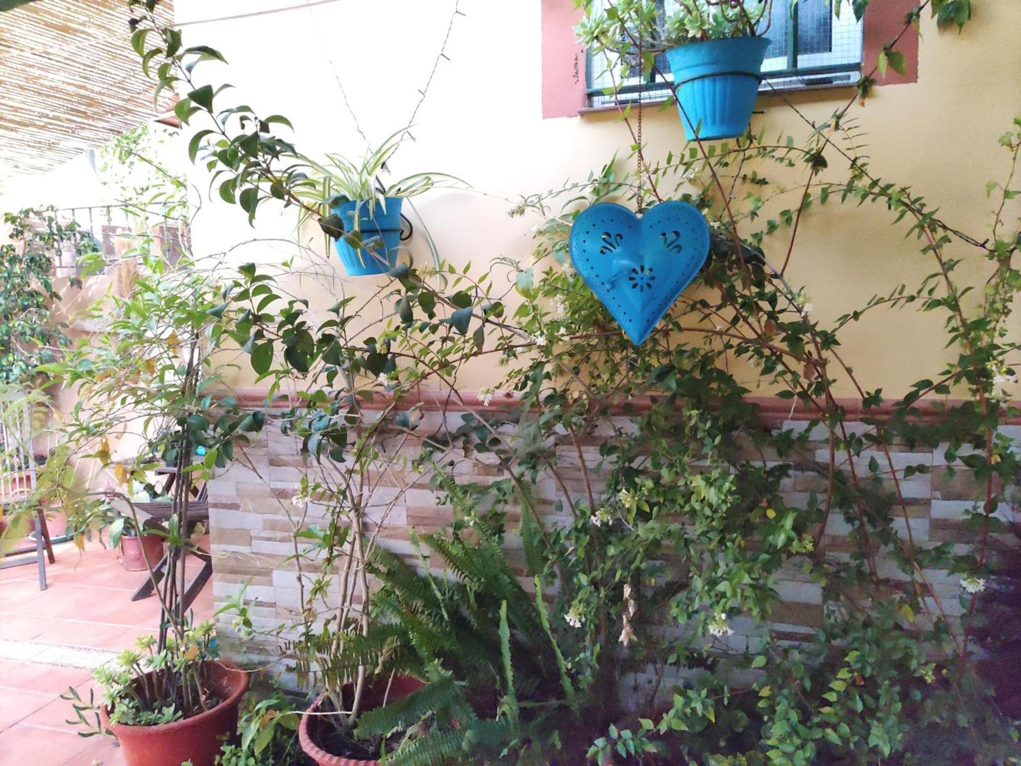 Apartamento Cool Garden Майрена-дель-Альхарафе Экстерьер фото